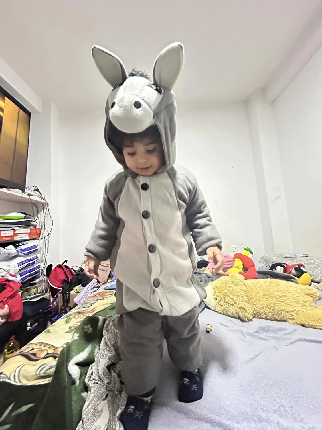 Funidelia asino costume onesie bambino 10-12 anni grigio