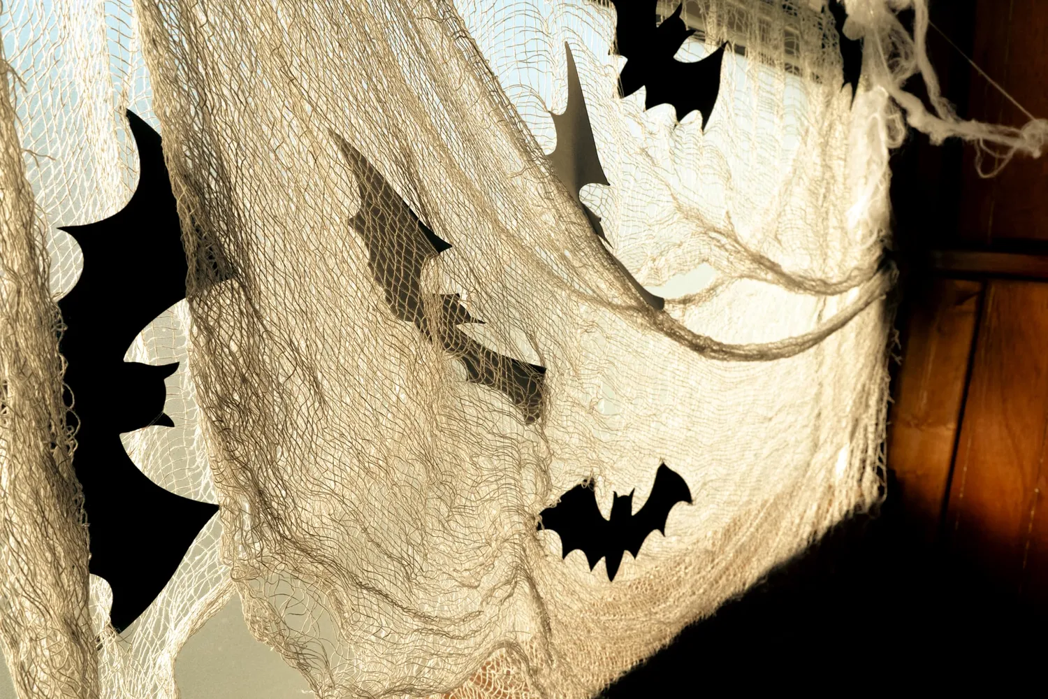 P'tit Clown tessuto pipistrelli nero 400 cm per Halloween