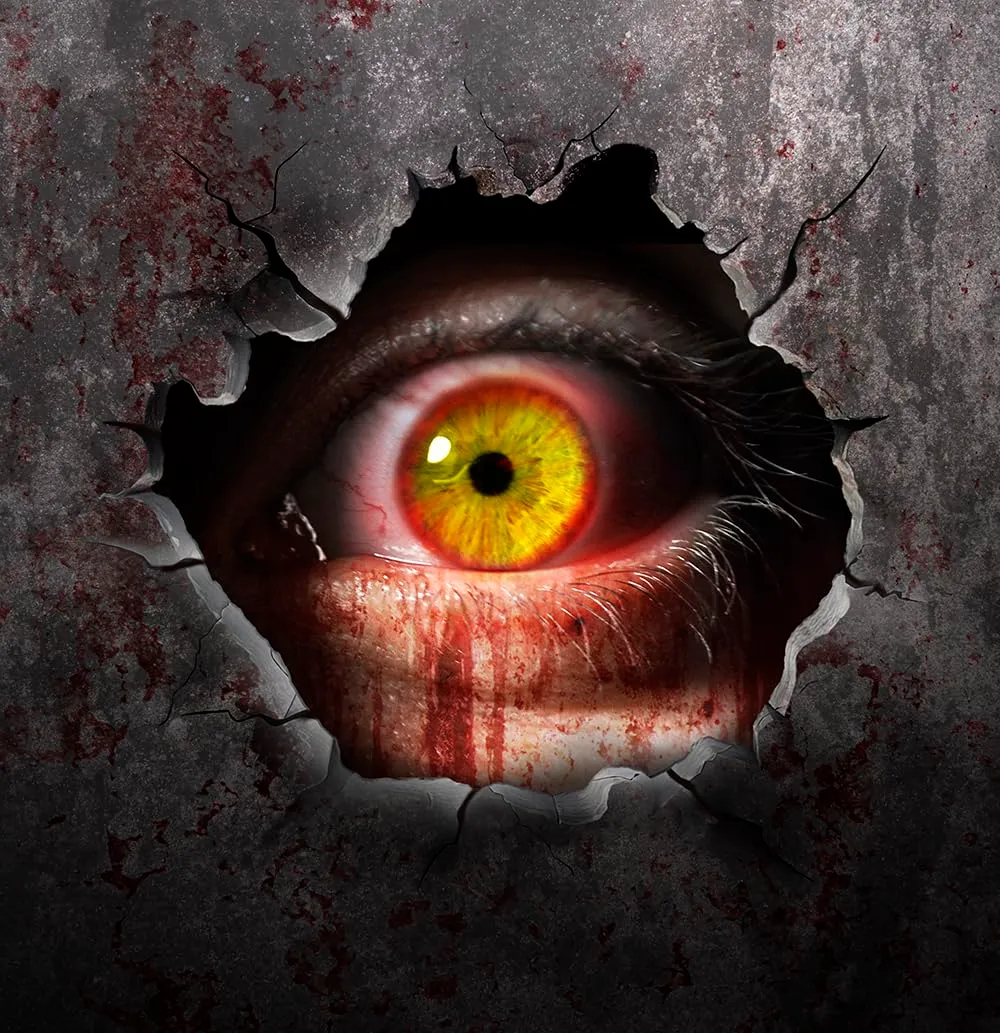 Guirca adesivo parete ragno Halloween nero effetto 3D