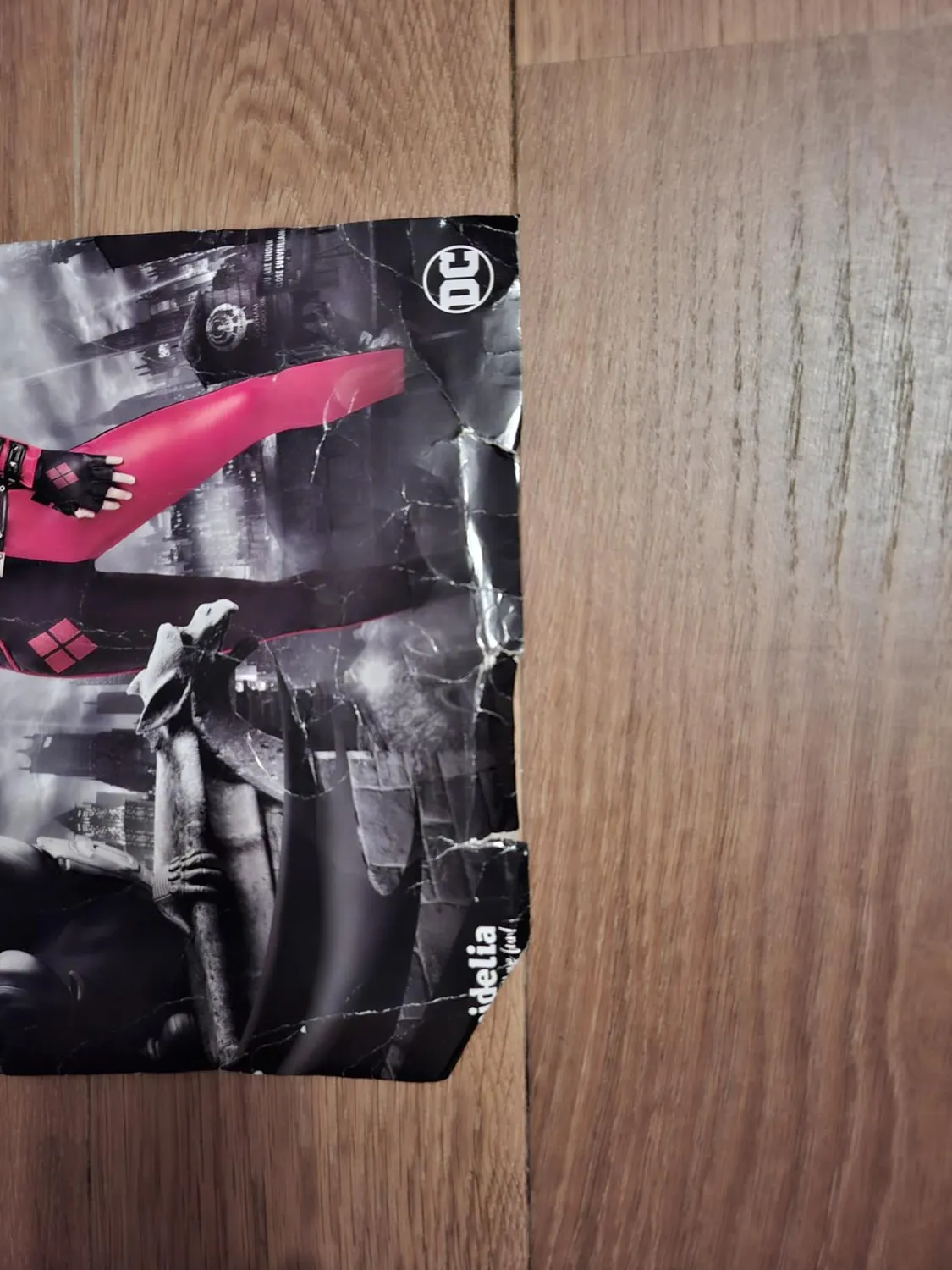 Funidelia Harley Quinn Arkham City costume donna M