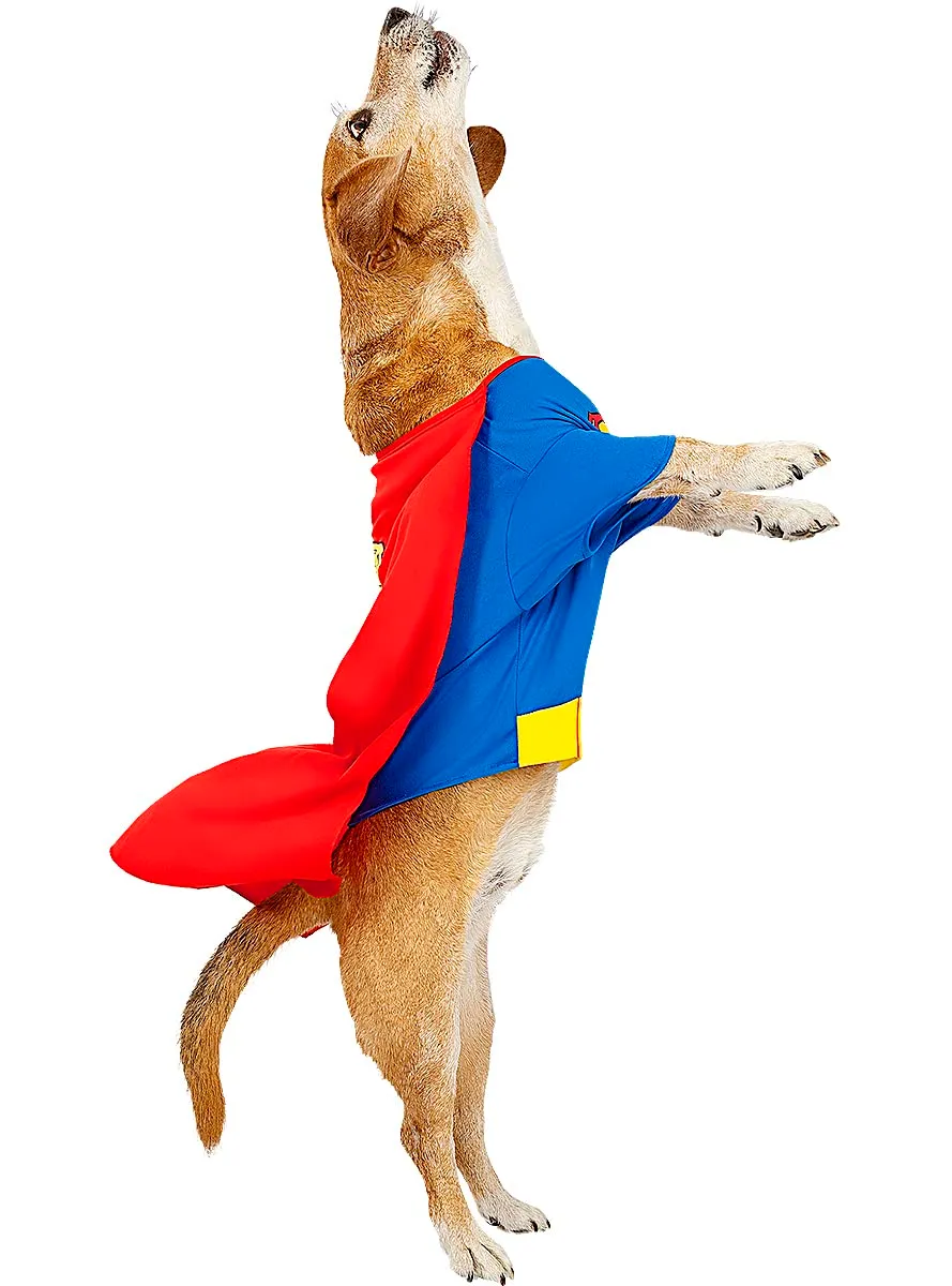 Funidelia Superman costume cane taglia S blu ufficiale