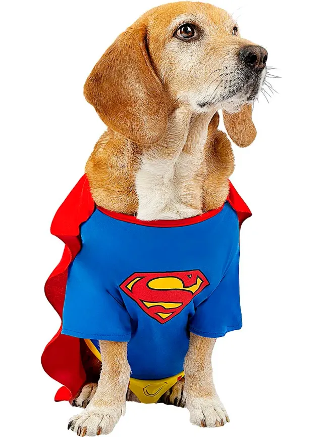 Funidelia Superman costume cane taglia S blu ufficiale