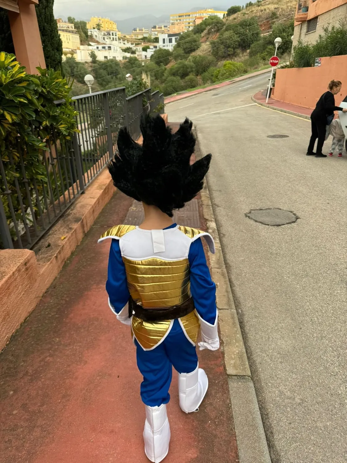 Funidelia Dragon Ball Vegeta parrucca bambino nero fibre