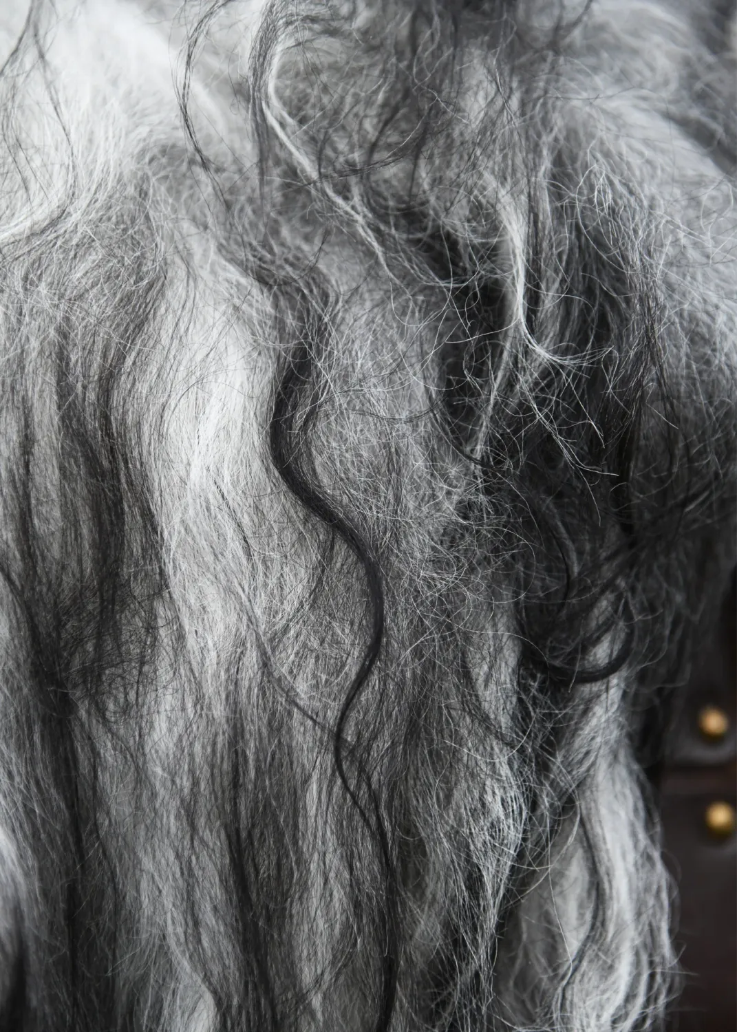 La Bottega di Merlino Pelliccia Pecora Nordica grigio nero